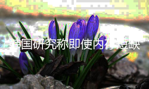 内存解 价格降称即存短研究也不使内韩国会下缺缓