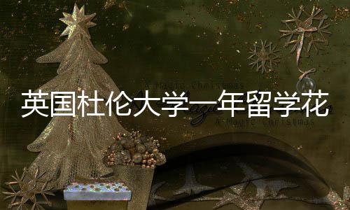 指南杜伦大学留学英国一年预算花费